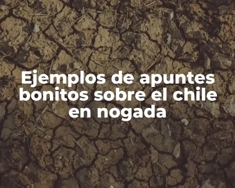 Ejemplos de apuntes bonitos sobre el chile en nogada