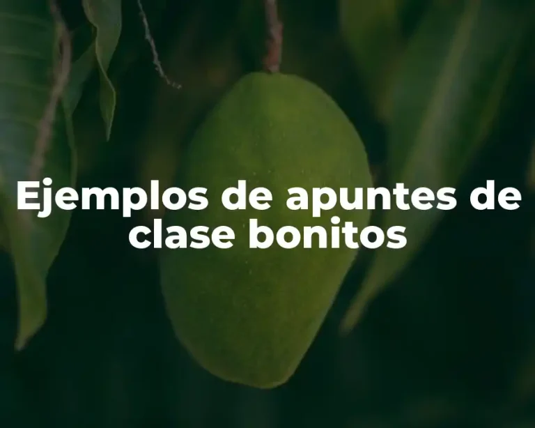 Ejemplos de apuntes de clase bonitos