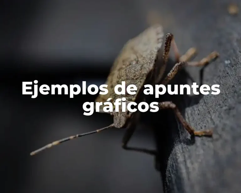 Ejemplos de apuntes gráficos