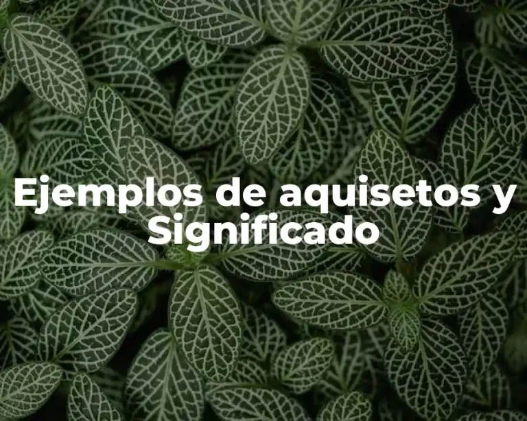 Ejemplos de aquisetos y Significado