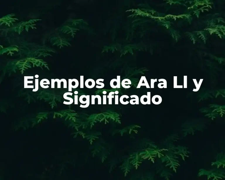 Ejemplos de Ara Ll y Significado
