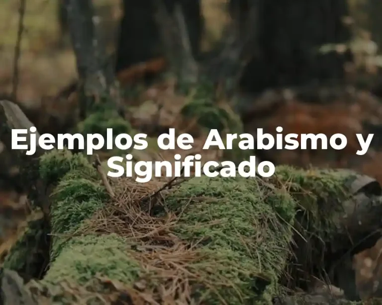 Ejemplos de Arabismo y Significado