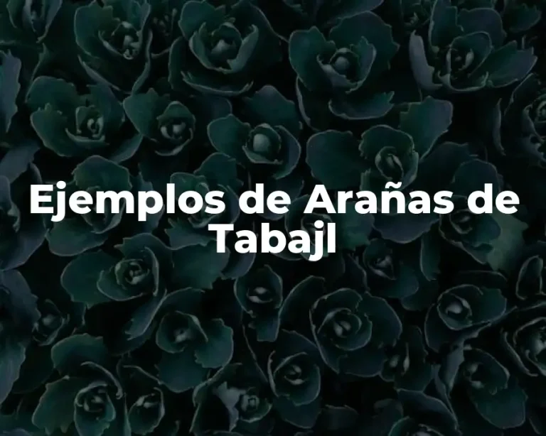 Ejemplos de Arañas de Tabajl