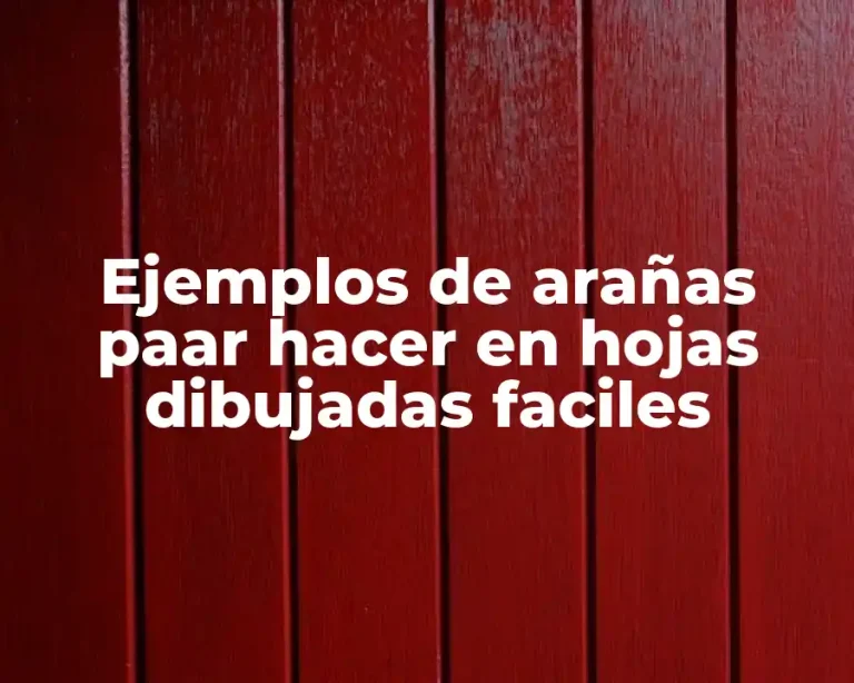 Ejemplos de arañas paar hacer en hojas dibujadas faciles