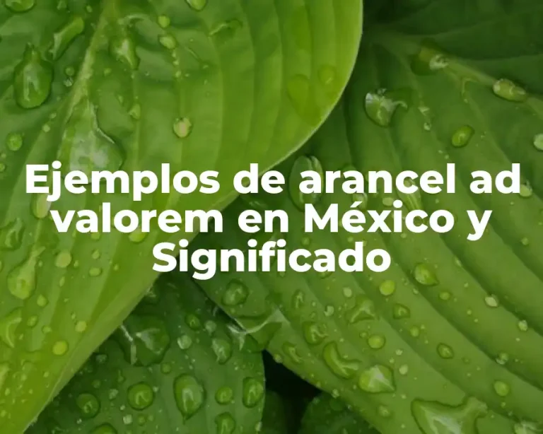 Ejemplos de arancel ad valorem en México y Significado