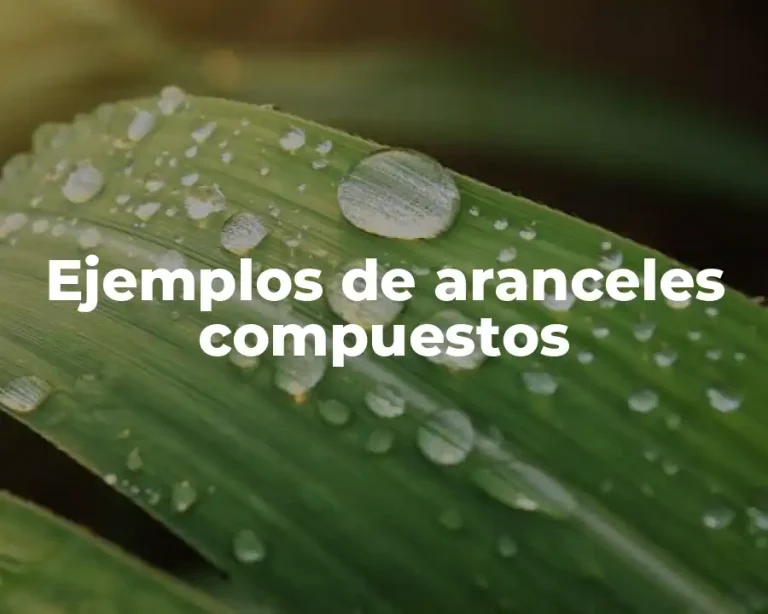 Ejemplos de aranceles compuestos