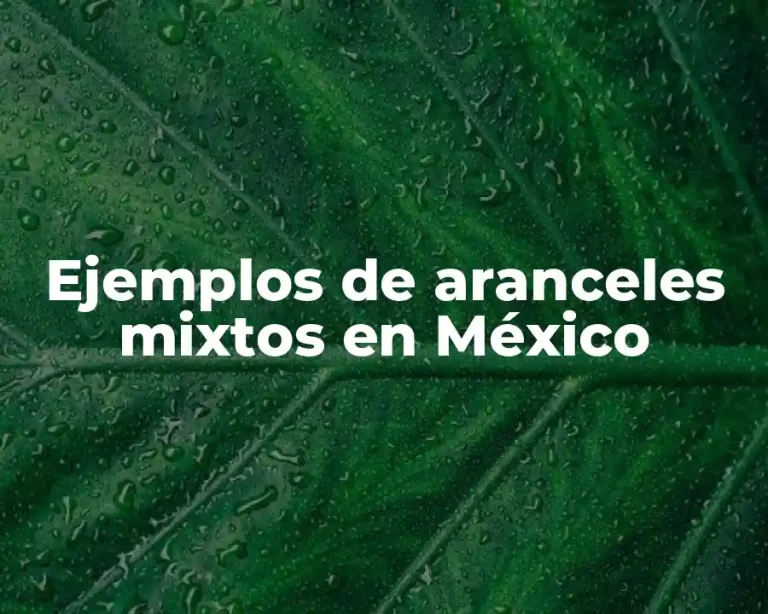 Ejemplos de aranceles mixtos en México