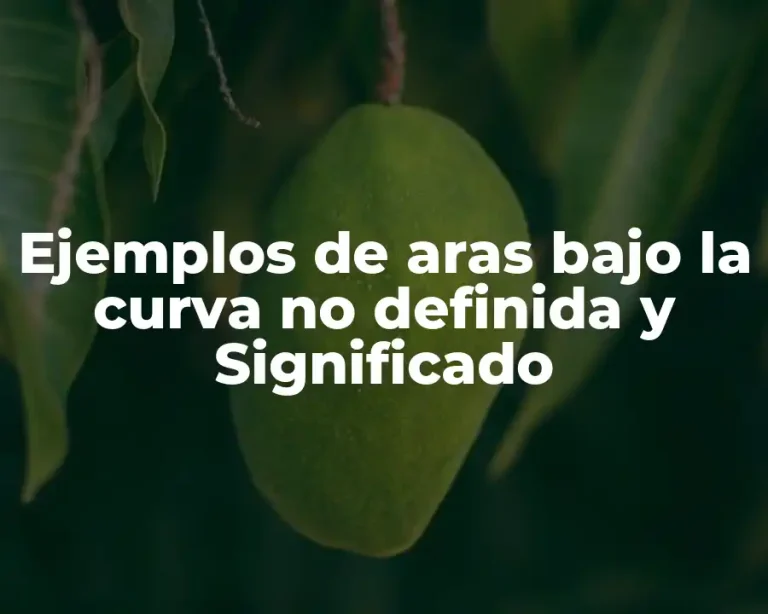 Ejemplos de aras bajo la curva no definida y Significado