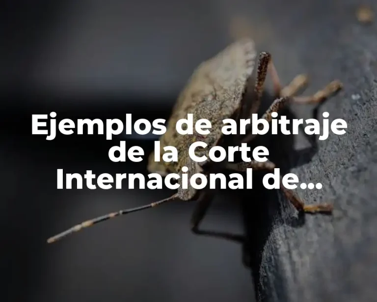 Ejemplos de arbitraje de la Corte Internacional de Justicia