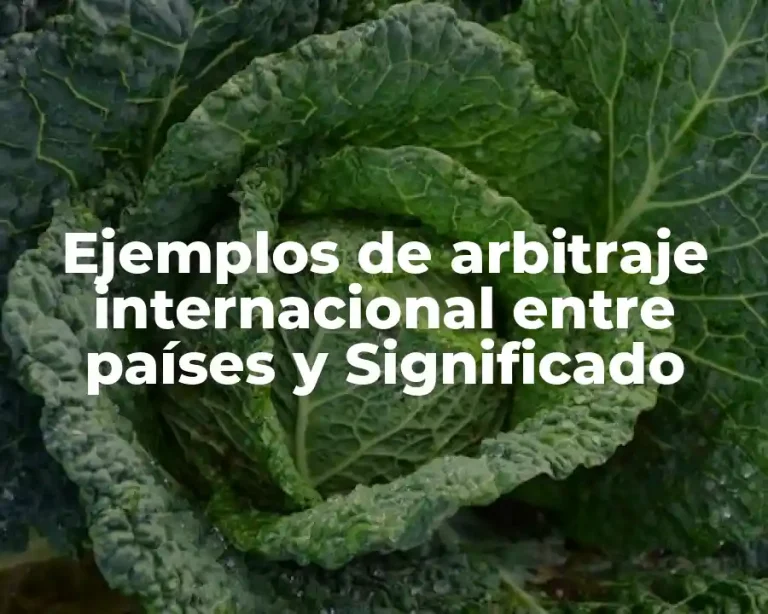 Ejemplos de arbitraje internacional entre países y Significado
