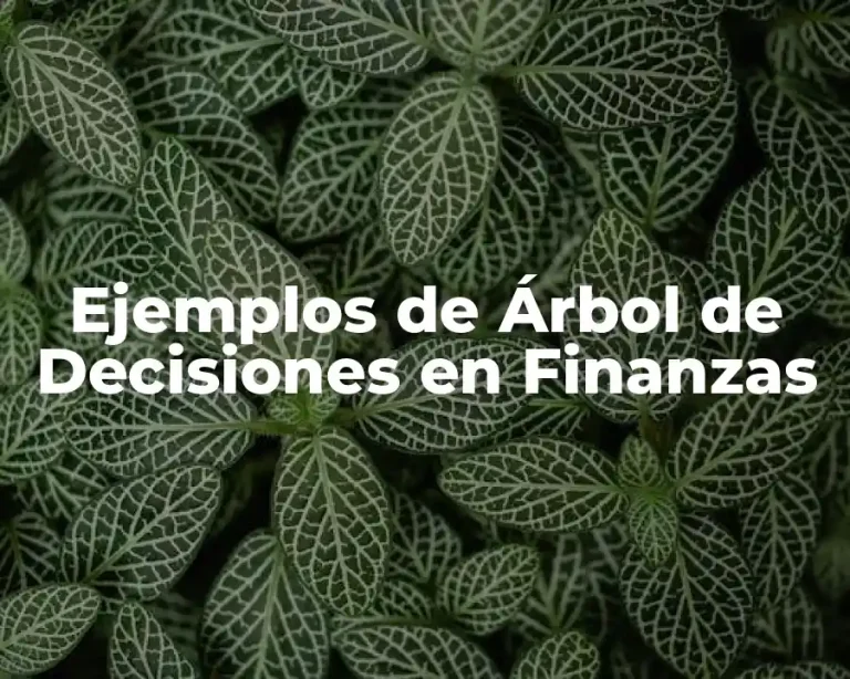 Ejemplos de Árbol de Decisiones en Finanzas