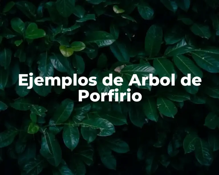 Ejemplos de Arbol de Porfirio