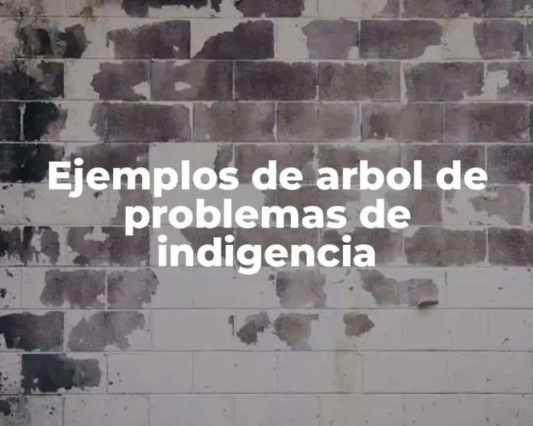Ejemplos de arbol de problemas de indigencia