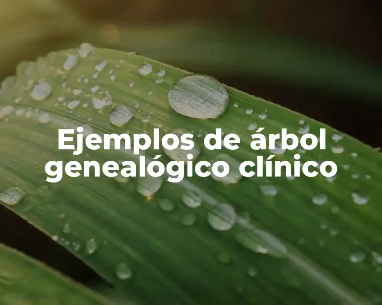 Ejemplos de árbol genealógico clínico