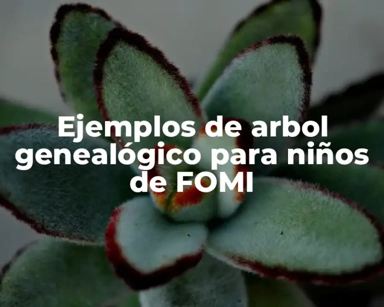 Ejemplos de arbol genealógico para niños de FOMI
