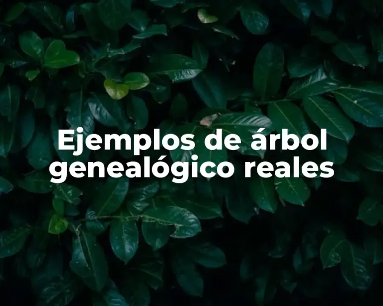 Ejemplos de árbol genealógico reales