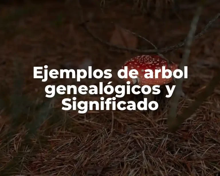 Ejemplos de arbol genealógicos y Significado