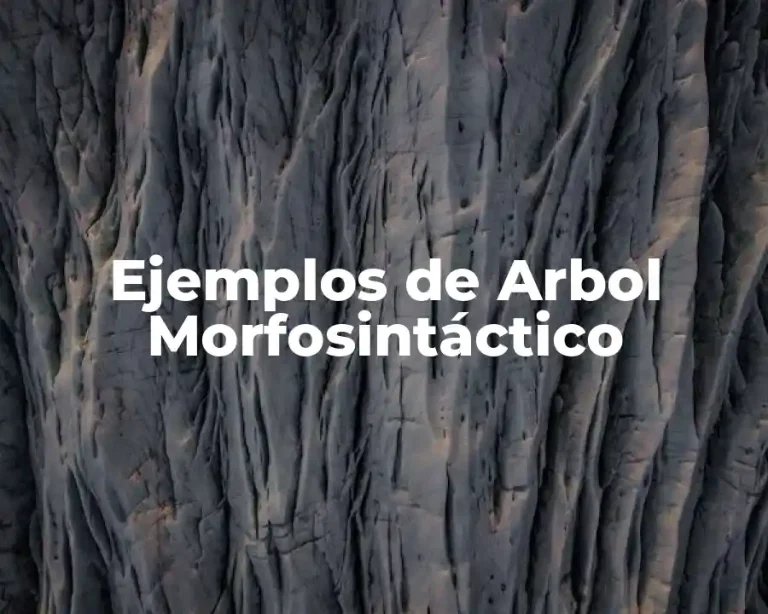 Ejemplos de Arbol Morfosintáctico