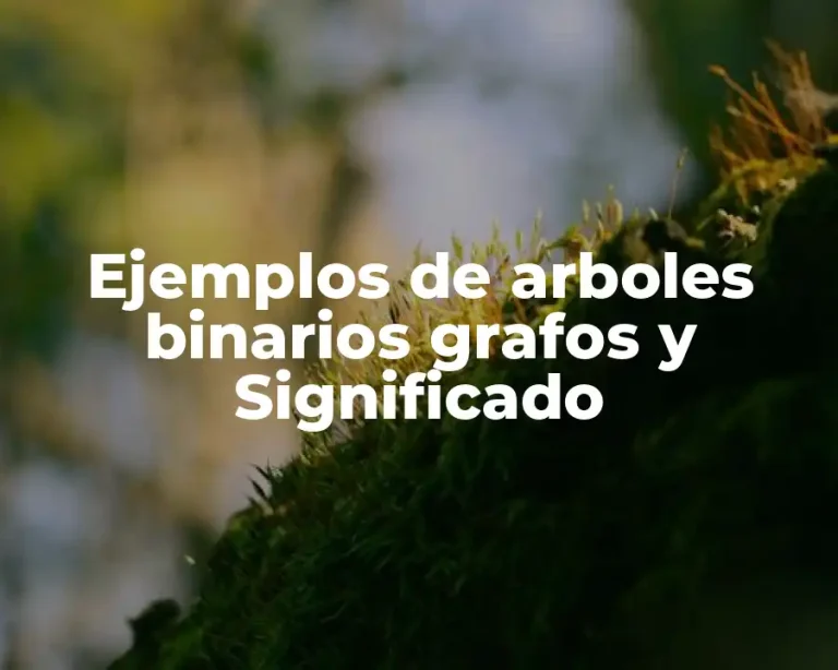 Ejemplos de arboles binarios grafos y Significado