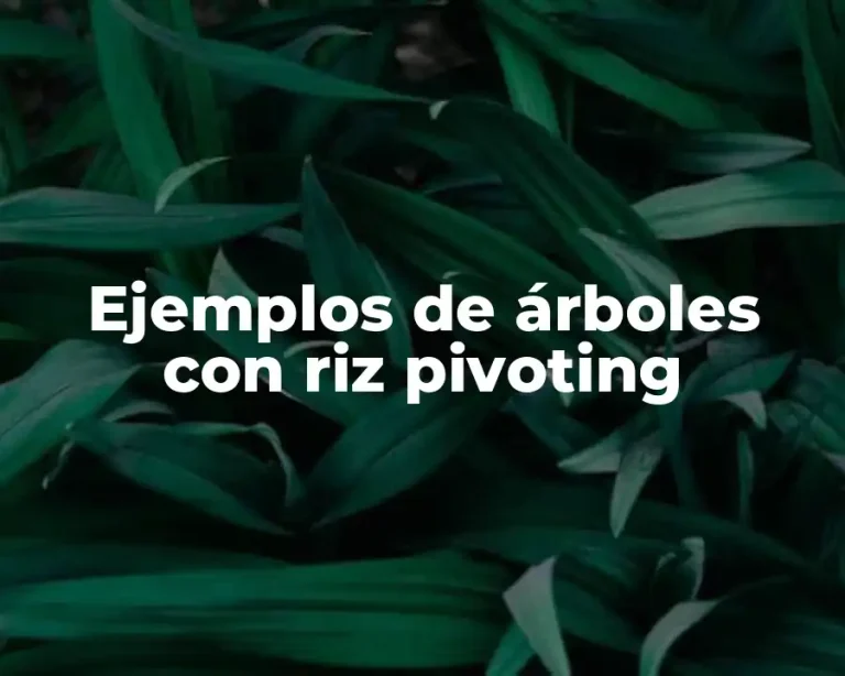 Ejemplos de árboles con riz pivoting