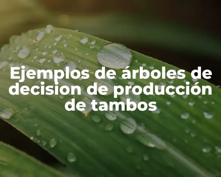 Ejemplos de árboles de decision de producción de tambos