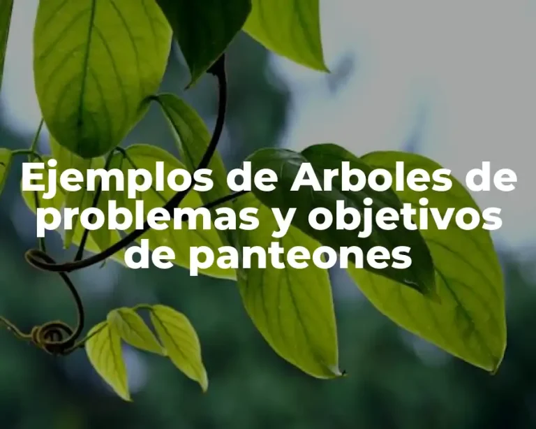 Ejemplos de Arboles de problemas y objetivos de panteones