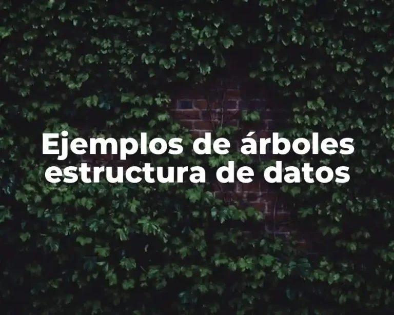 Ejemplos de árboles estructura de datos