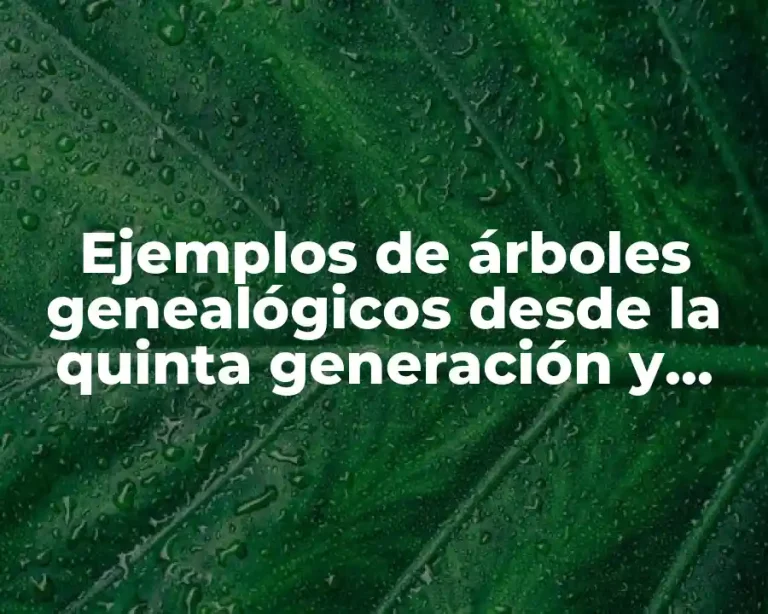 Ejemplos de árboles genealógicos desde la quinta generación y Significado