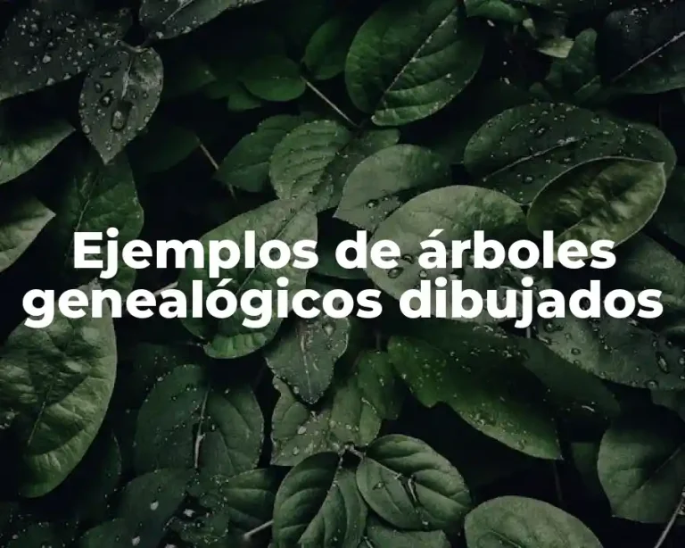 Ejemplos de árboles genealógicos dibujados