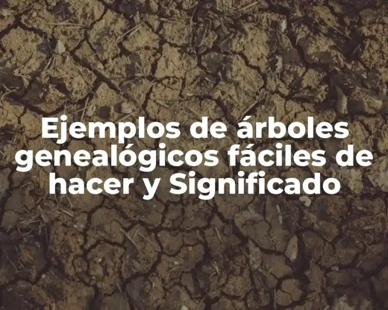 Ejemplos de árboles genealógicos fáciles de hacer y Significado