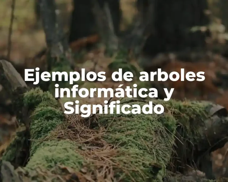 Ejemplos de arboles informática y Significado