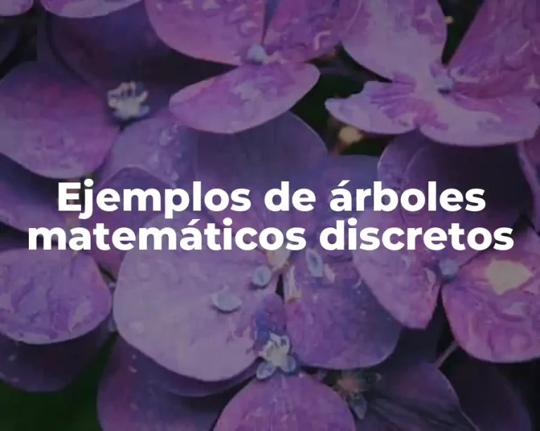 Ejemplos de árboles matemáticos discretos