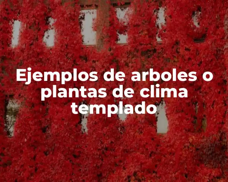 Ejemplos de arboles o plantas de clima templado
