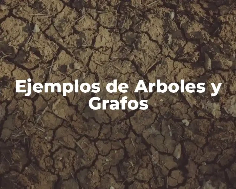 Ejemplos de Arboles y Grafos