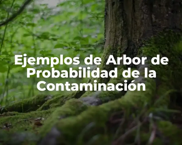Ejemplos de Arbor de Probabilidad de la Contaminación