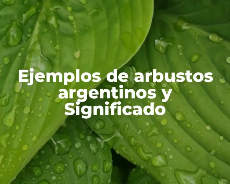 Ejemplos de arbustos argentinos y Significado