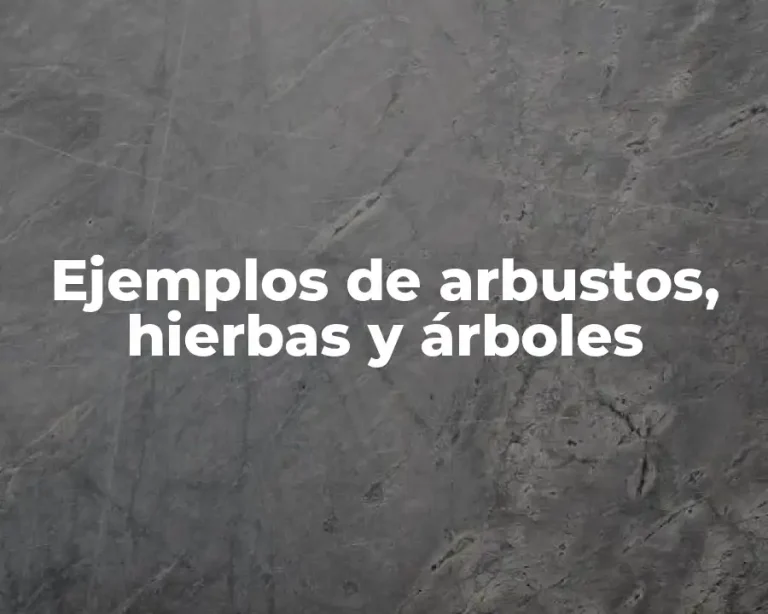 Ejemplos de arbustos, hierbas y árboles