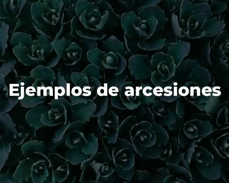 Ejemplos de arcesiones