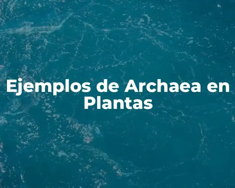 Ejemplos de Archaea en Plantas