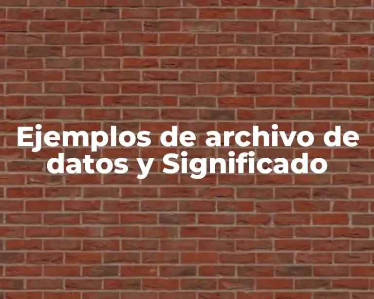 Ejemplos de archivo de datos y Significado