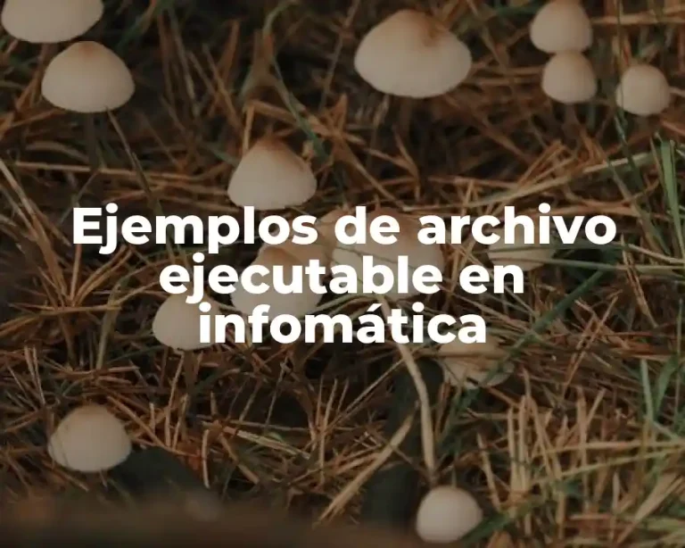Ejemplos de archivo ejecutable en infomática