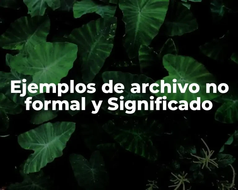 Ejemplos de archivo no formal y Significado