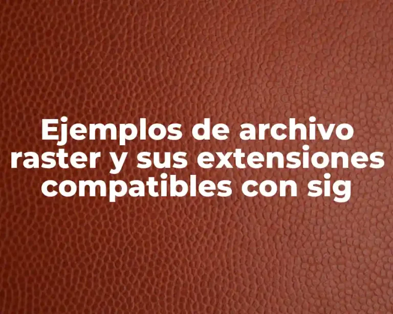 Ejemplos de archivo raster y sus extensiones compatibles con sig