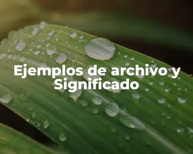 Ejemplos de archivo y Significado