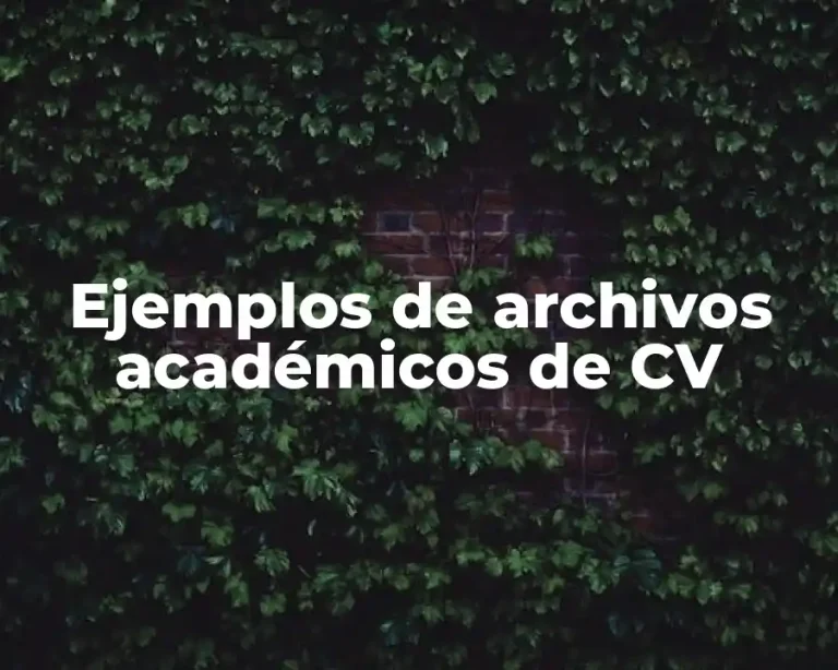 Ejemplos de archivos académicos de CV