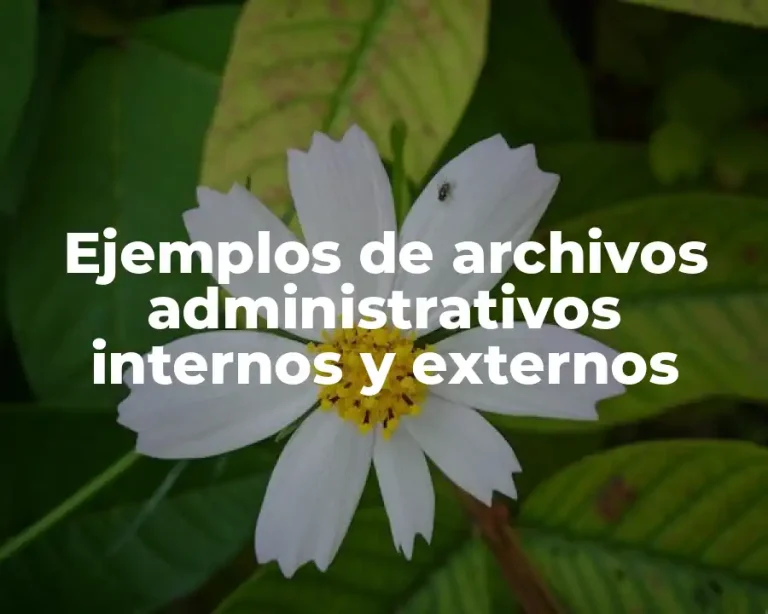 Ejemplos de archivos administrativos internos y externos