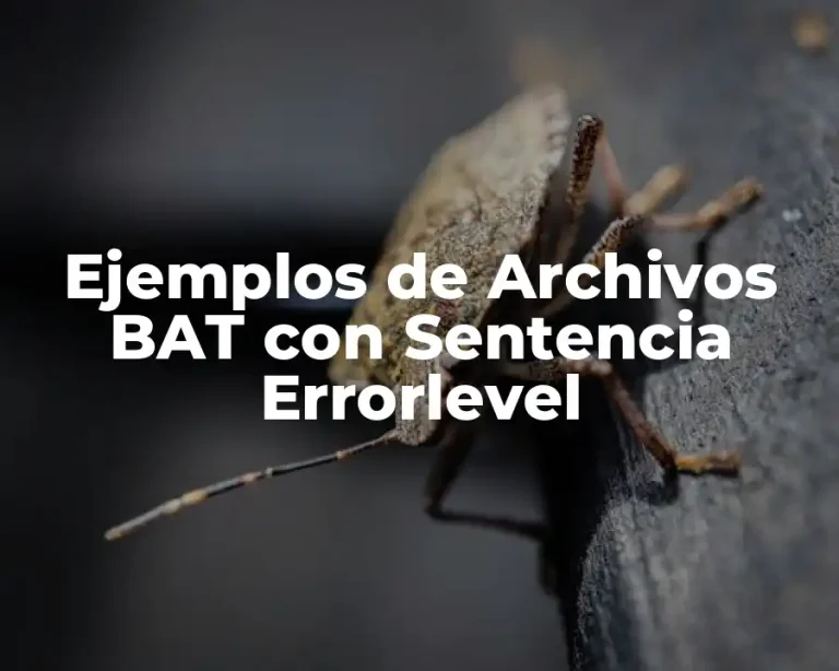 Ejemplos de Archivos BAT con Sentencia Errorlevel