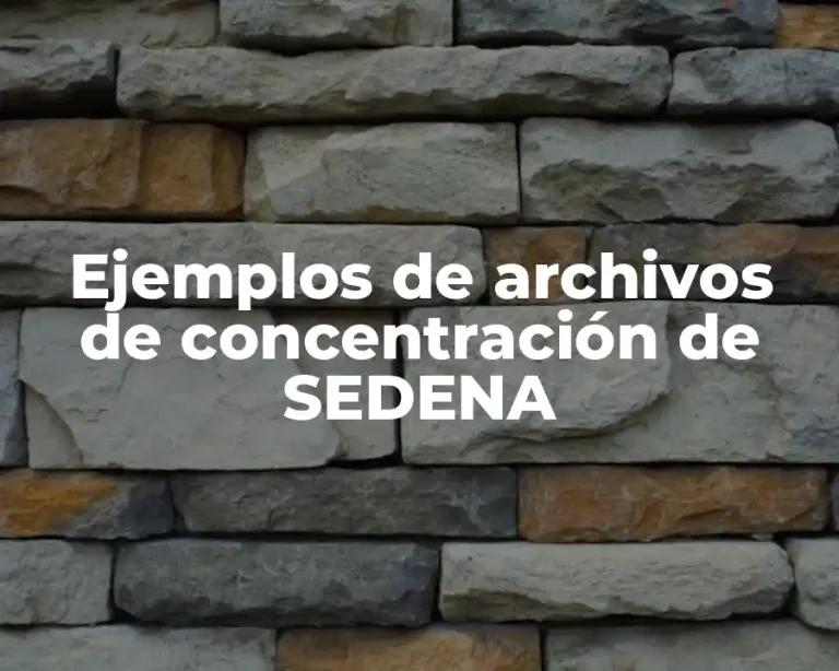 Ejemplos de archivos de concentración de SEDENA