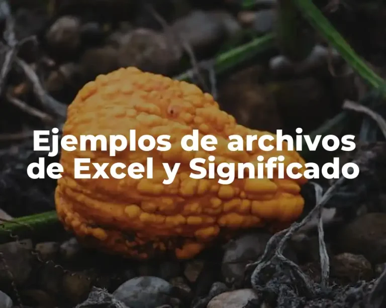 Ejemplos de archivos de Excel y Significado