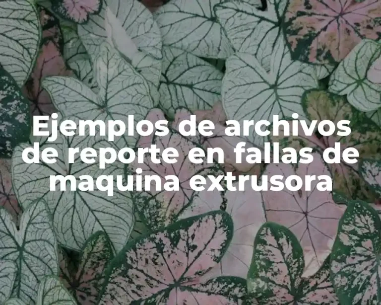 Ejemplos de archivos de reporte en fallas de maquina extrusora